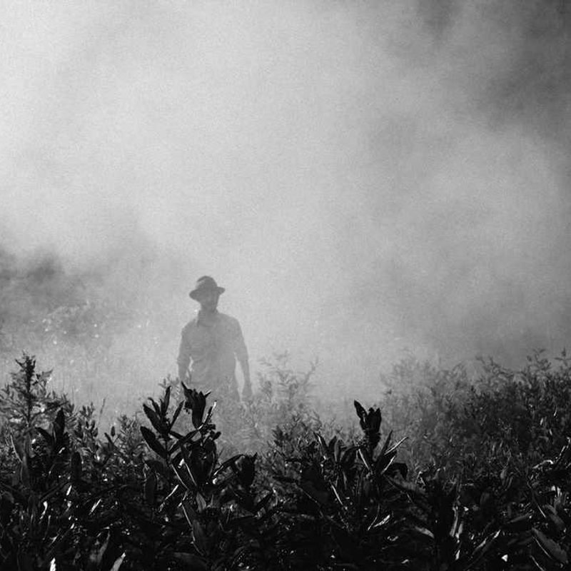 A ghost in a foggy field